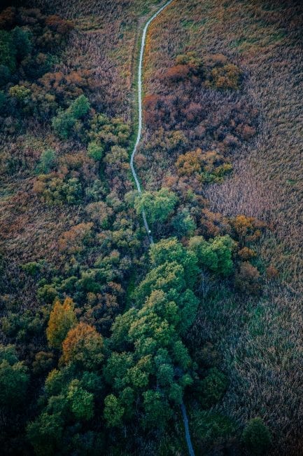 Nyt voit kompensoida ateriasi – Ylva ottaa ensimmäisenä käyttöön Compensaten